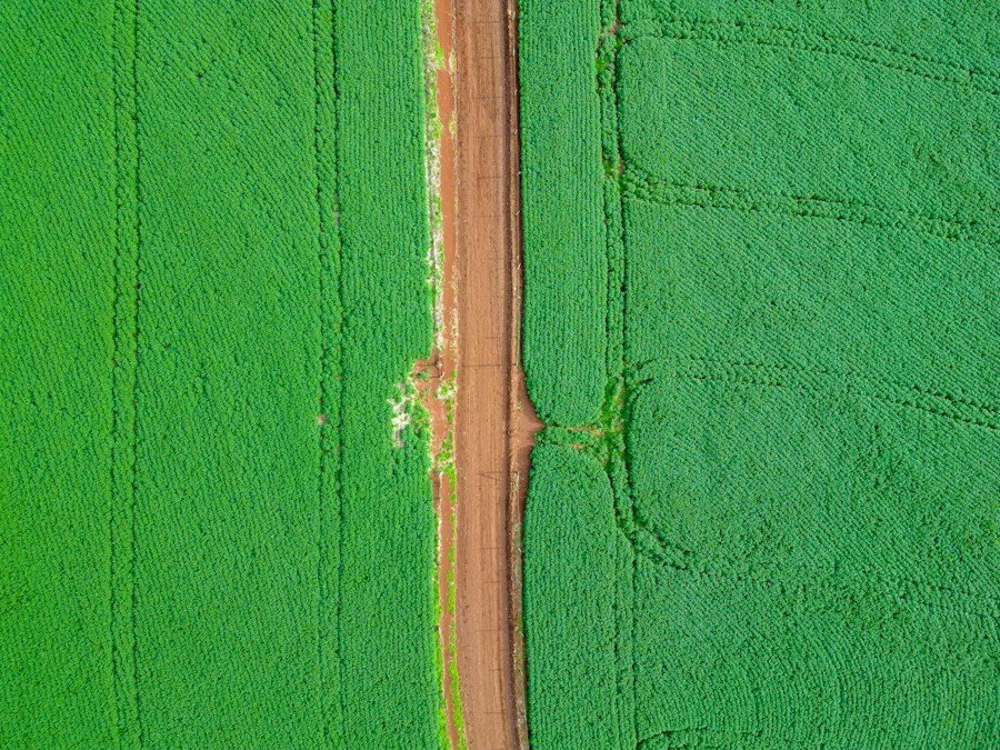 Vista aérea de lavouras e estrada rural no Paraná